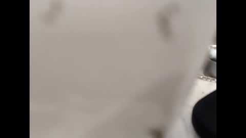 Snapshot of hardandhorny422 chatting on 10-12-25, 12:59 hardandhorny422 online show from 10-12-25, 12:59