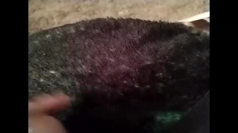 Snapshot of hardandhorny422 chatting on 10-13-25, 05:24 hardandhorny422 online show from 10-13-25, 05:24