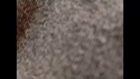 Snapshot of hardandhorny422 chatting on 10-15-25, 11:54 hardandhorny422 online show from 10-15-25, 11:54