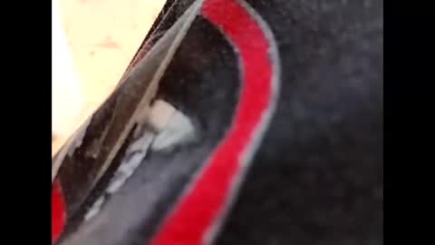 Snapshot of hardandhorny422 chatting on 10-16-25, 05:14 hardandhorny422 online show from 10-16-25, 05:14