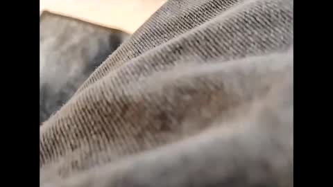 Snapshot of hardandhorny422 chatting on 10-30-25, 11:55 hardandhorny422 online show from 10-30-25, 11:55