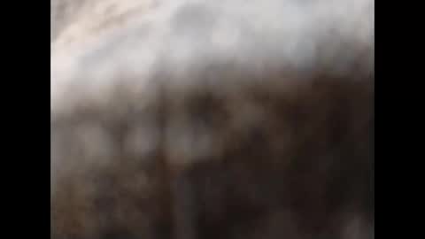 Snapshot of hardandhorny422 chatting on 11-11-25, 11:54 hardandhorny422 online show from 11-11-25, 11:54