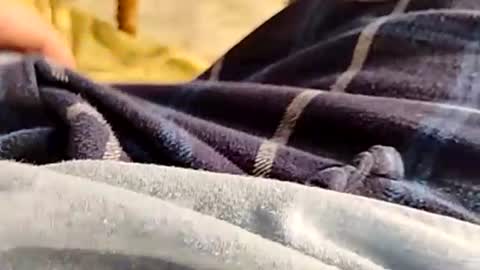 Snapshot of hardandhorny422 chatting on 11-30-25, 04:33 hardandhorny422 online show from 11-30-25, 04:33