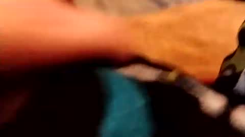 Snapshot of hardandhorny422 chatting on 12-04-25, 03:54 hardandhorny422 online show from 12-04-25, 03:54