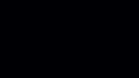 Iordan online show from 12-24-24, 01:38