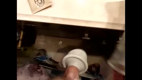 hardforu8675 online show from 04-13-26, 02:00