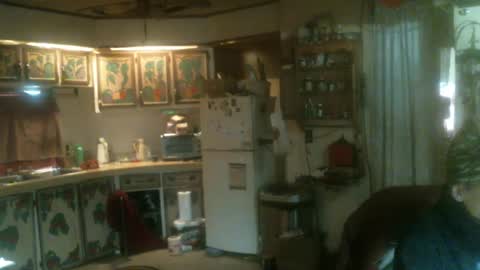 Snapshot of hardinhand44 chatting on 01-31-25, 04:59 john nobles online show from 01-31-25, 04:59