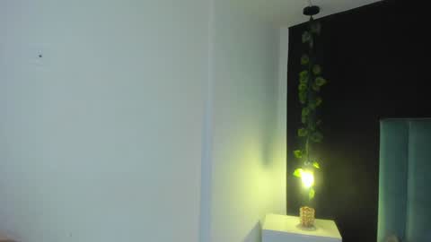 harleyqueen_robbie online show from 12-21-24, 11:34