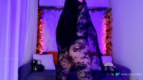 Harliequinnx - Schedule Below Exxxotica DC Dec 6-8th online show from 10-31-25, 01:28