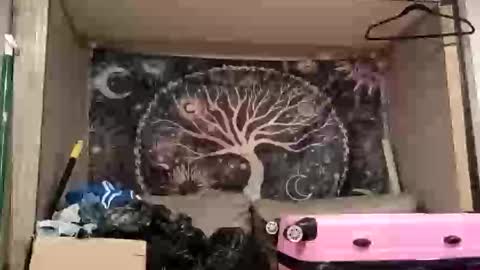 Snapshot of harlleymiller673 chatting on 10-17-25, 03:20 harlleymiller673 online show from 10-17-25, 03:20