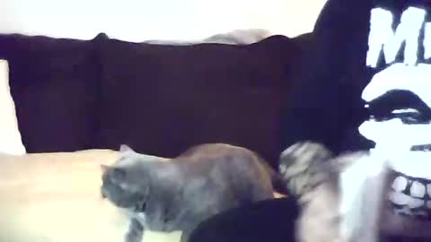 Snapshot of harry765765765 chatting on 11-01-25, 01:18 The Finesser online show from 11-01-25, 01:18