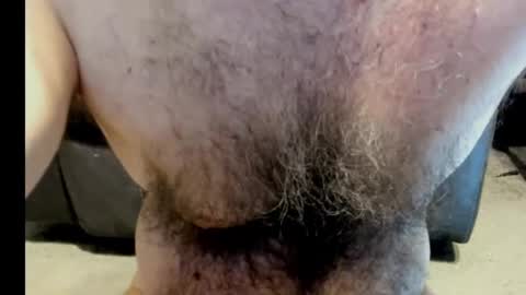 harry_banana online show from 02-24-25, 11:43