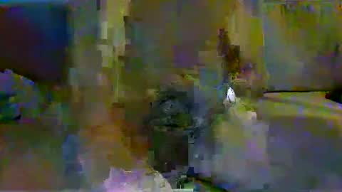 Snapshot of harryhavana chatting on 02-11-25, 07:44 harryhavana online show from 02-11-25, 07:44