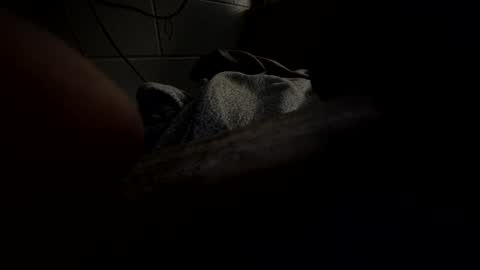 J Hart online show from 01-23-25, 10:22