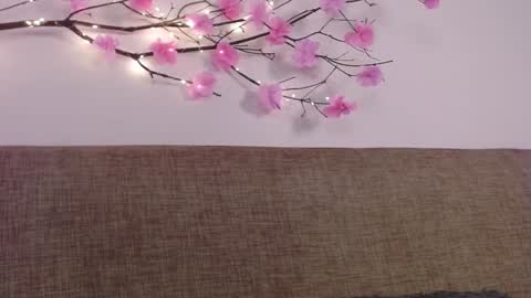 Snapshot of haru_blossom chatting on 01-06-25, 05:06     online show from 01-06-25, 05:06