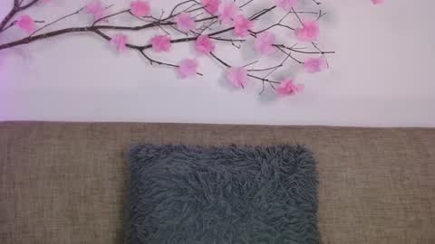 Snapshot of haru_blossom chatting on 01-14-25, 05:23     online show from 01-14-25, 05:23