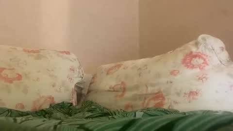 dee online show from 01-27-25, 04:09