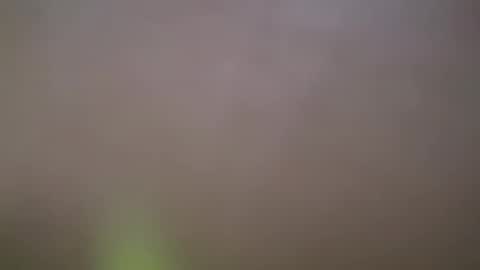 Snapshot of haydarcum chatting on 02-14-25, 02:54 ZhongLi online show from 02-14-25, 02:54