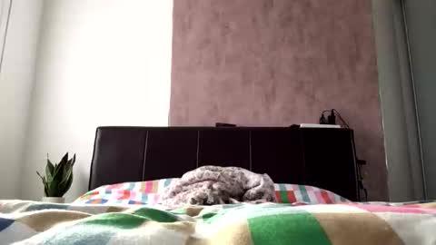 Snapshot of hayle_emmie chatting on 10-22-25, 08:36 Hayle online show from 10-22-25, 08:36