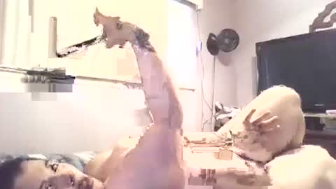 hazelbasil32728 online show from 10-30-25, 07:25