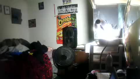 hbdj2164 online show from 01-18-26, 05:44