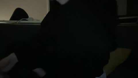 hchappel19 online show from 10-01-25, 08:15