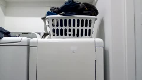 hdrsh08 online show from 04-15-26, 04:41