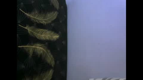 healyn online show from 01-27-25, 03:47