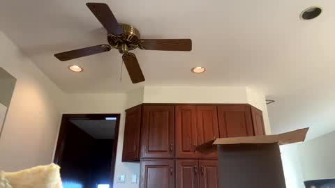 Snapshot of heatwavee chatting on 11-04-25, 12:59 heatwavee online show from 11-04-25, 12:59