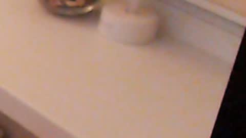 Snapshot of heaven_chloe chatting on 12-05-24, 11:29 Heaven girl online show from 12-05-24, 11:29