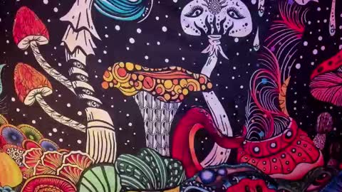 Snapshot of hecate_and_crow chatting on 02-26-25, 07:42 online show from 02-26-25, 07:42