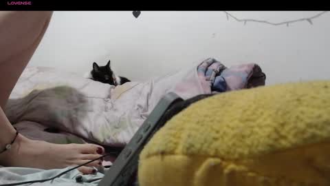 sofia online show from 12-04-25, 01:48