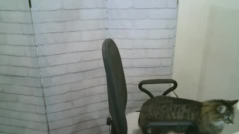 Helen online show from 01-13-26, 05:24