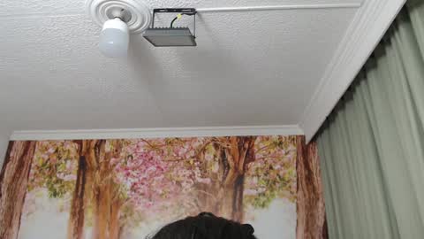 Hellen online show from 12-19-24, 02:13