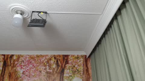 Hellen online show from 01-23-25, 09:07