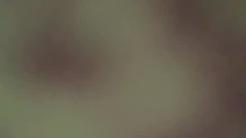 hellohowareyou66 online show from 04-21-26, 03:57