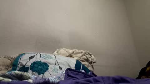 Snapshot of hellokitten123 chatting on 01-28-25, 09:40 hellokitten123 online show from 01-28-25, 09:40