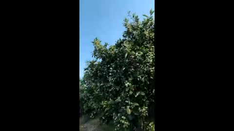 heterooli online show from 03-29-26, 04:29