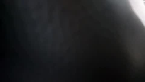 heydude56 online show from 02-09-25, 09:49