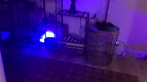 FlexieFae online show from 01-03-25, 07:49