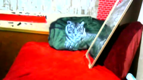 Snapshot of hhhjnf1 chatting on 09-17-25, 07:10 hhhjnf1 online show from 09-17-25, 07:10