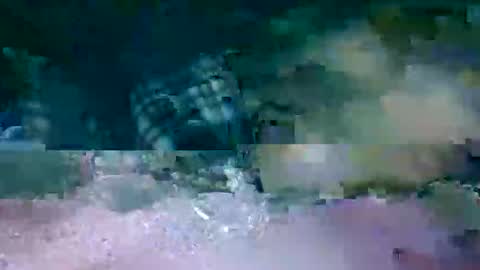 MR. Bation online show from 02-17-26, 01:13