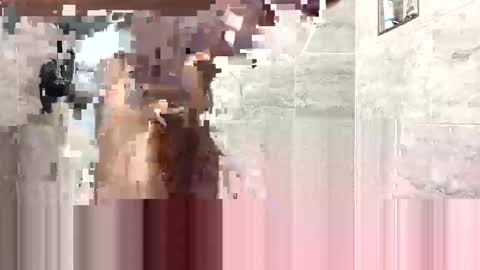 CRIP  Lee online show from 01-11-25, 08:43