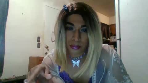 Snapshot of hihheelstranny chatting on 01-20-25, 08:19 hihheelstranny online show from 01-20-25, 08:19