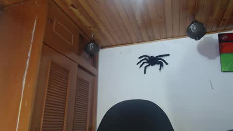 hilaril18 online show from 10-28-25, 12:47