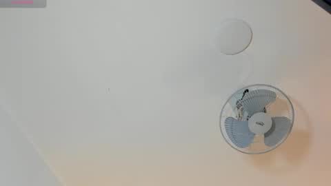 hilary_tailor online show from 01-19-26, 11:03