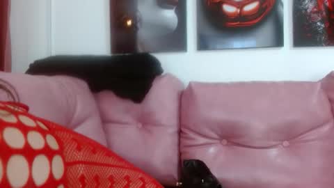 Snapshot of hinataleecs chatting on 09-29-25, 06:02 hinata lee online show from 09-29-25, 06:02