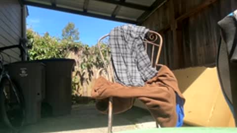 Hippie Jijm online show from 04-17-26, 07:39