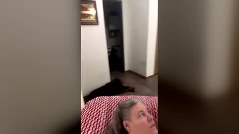 hippysnewhere online show from 04-23-26, 04:14