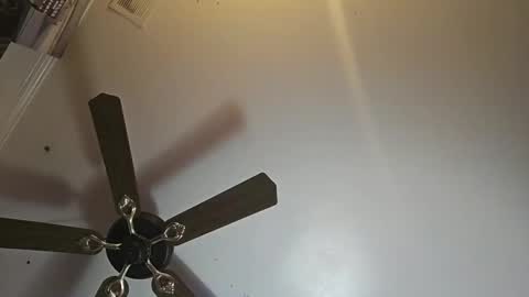 hoglegg99384194 online show from 11-02-25, 11:01